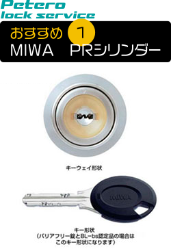 おすすめ1 NWA PRシリンダー